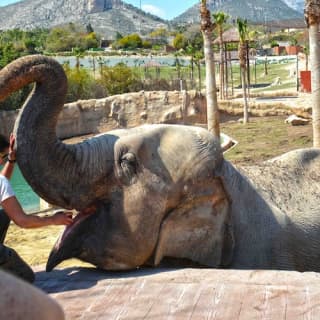 Terra Natura Benidorm