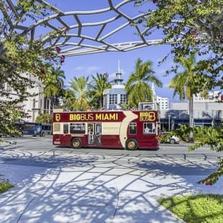 Miami Combo: Bus Tour, Bay Cruise, & Everglades