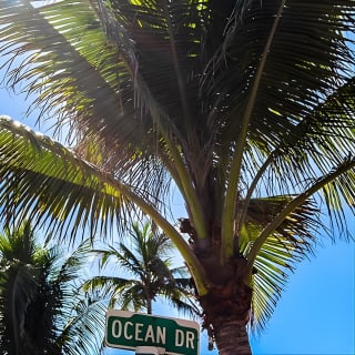 South Beach Golf Cart Tour