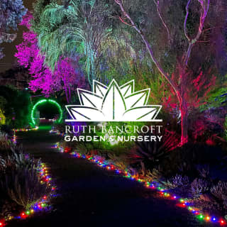 Garden of D'Lights