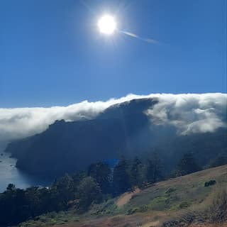 Amazing Muir Woods and Sausalito Tour