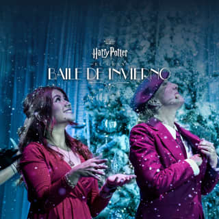 Harry Potter: A Yule Ball Celebration