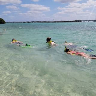 Beginner Friendly Island Snorkeling