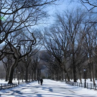 Central Park Photography Tour with Local Photographer