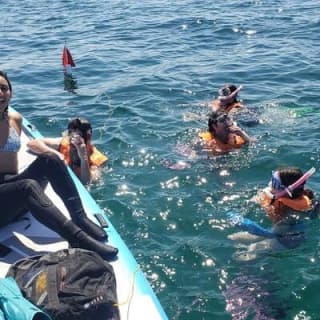 Beginner Friendly Island Snorkeling