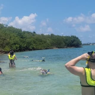 Beginner Friendly Island Snorkeling