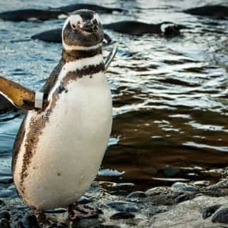 Aquarium of the Pacific: Skip The Line