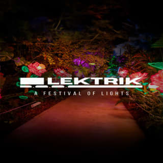 Lektrik: A Festival of Lights