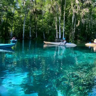 Silver Springs Glass Bottom Kayak Tour!