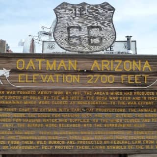 Ghost Town Explorer: Daytrip from Las Vegas