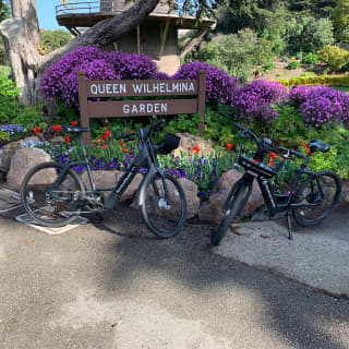 Golden Gate Park eBike Rentals