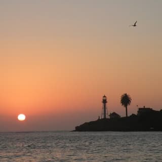 2.5 Hours of Fun: Catamaran Sunset Sail