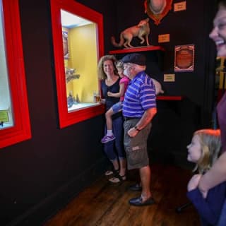 The Buckhorn Saloon & Museum and Texas Ranger Museum Admission