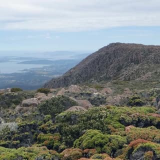 kunanyi.Mt Wellington Explorer Bus - One Way Tour