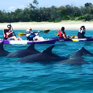 Morning Kayaking and Snorkeling Tour