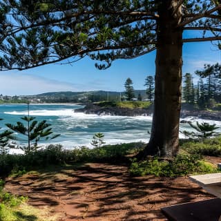 Sea Cliff Bridge, Blowhole, Beaches & Farmlands- Escape the City