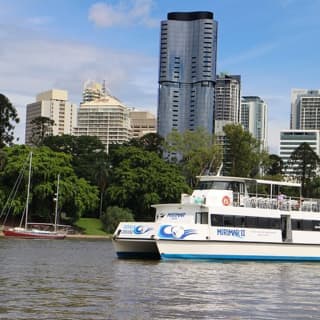 Lone Pine Koala Sanctuary Admission with Brisbane River Cruise