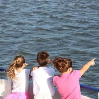 1.5-Hour Charleston Harbor Cruise with Live Narration