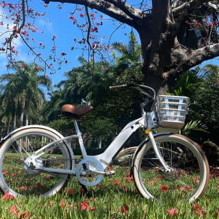 Electric Bike Tour in South Beach