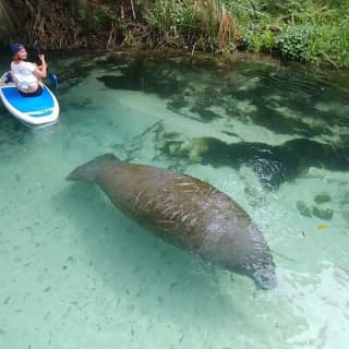 Nature & Island Exploration on SUP.Kayak