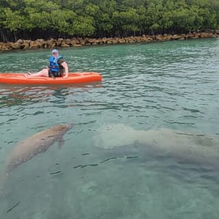 Nature & Island Exploration on SUP.Kayak