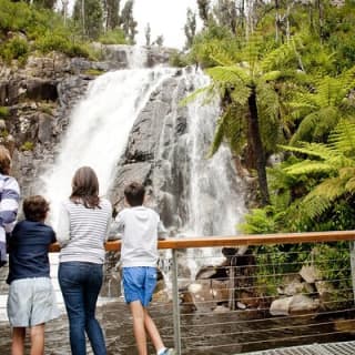 Melbourne Snow Trip to Lake Mountain with Chocolates visit to a Waterfall