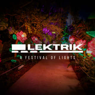 Lektrik: A Festival of Lights