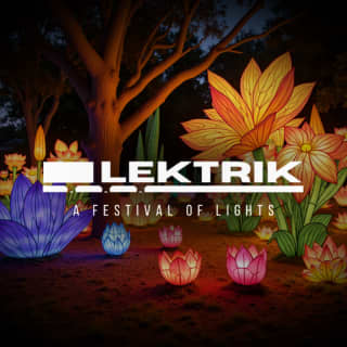 Lektrik: A Festival of Lights