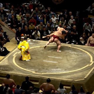 Sumo Tournament Experience in Tokyo