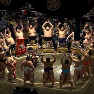 Sumo Tournament Experience in Tokyo