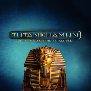 Tutankhamun: His Tomb and His Treasures - Washington DC