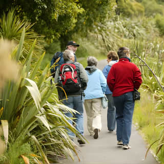 Small Group Daytime 2-Hour Eco Wildlife Tour at Zealandia