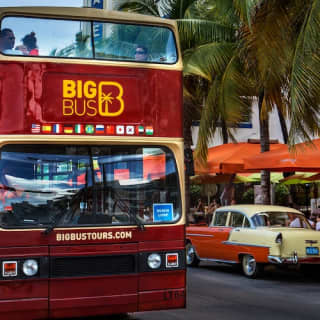 Big Bus Miami: Hop-on Hop-off Bus Tour + Yacht Cruise