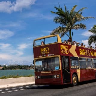 Big Bus Miami: Hop-on Hop-off Bus Tour + Yacht Cruise