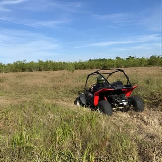 Fort Meade : Orlando : Dune Buggy Adventures