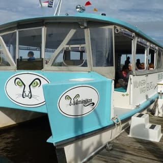 Eagles Island 50 minute Narrated Boat Cruise