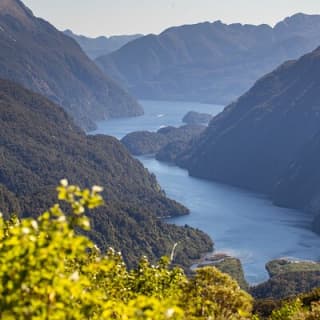 Doubtful Sound Wilderness Cruise from Queenstown