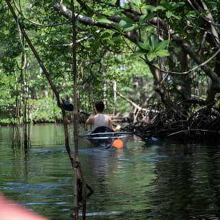 Clear Kayak Tour in North Miami Beach - Mangrove Tunnels