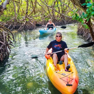 Mangroves, Manatees, and a Hidden Beach: Kayak Tour