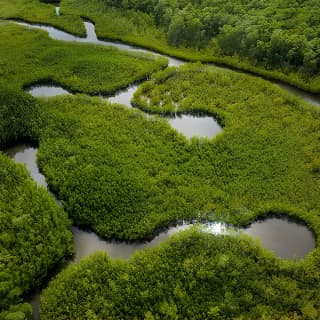 Clear Kayak Tour in North Miami Beach - Mangrove Tunnels