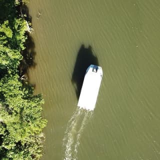 1-Hour Daintree River wildlife cruise