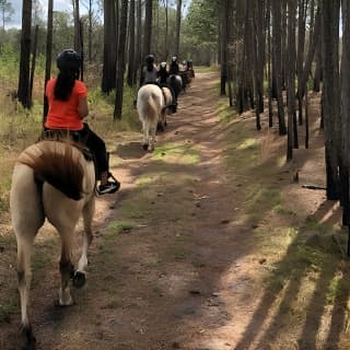 Horseback Ride on Scenic Lake Louisa Trails