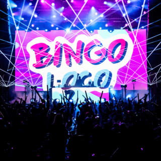 Bingo Loco: The Ultimate Bingo Party