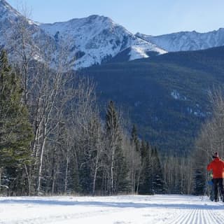 Cross Country Ski Lesson in Kananaskis, Canada