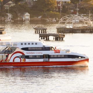 Sydney Harbour: Express Whale Watching Cruise