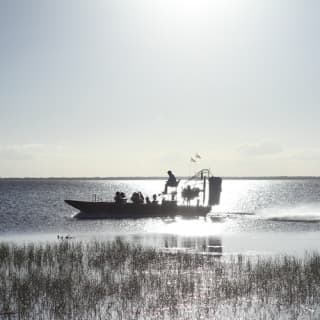 Everglades: 1-Hour Boggy Creek Airboat Tour at Southport Park