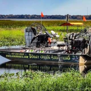 Everglades: 1-Hour Boggy Creek Airboat Tour at Southport Park