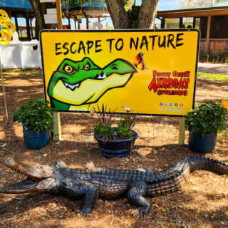 Everglades: 1-Hour Boggy Creek Airboat Tour at Southport Park