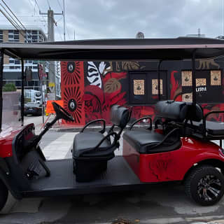 Miami's Best Graffiti Guide - VIP Golf Cart Tour - 2-5 ppl