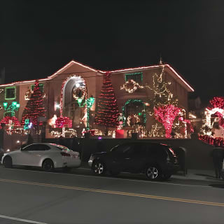 Brooklyn Christmas Lights Walking Tour at Dyker Heights